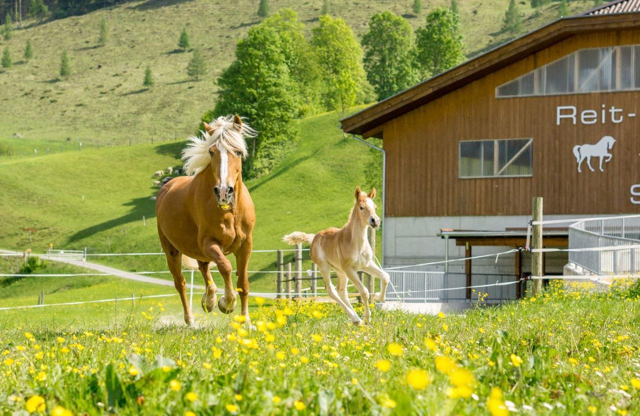 Schoerhof 4* Saalfelden